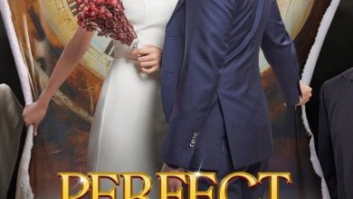 Perfect Marriage Revenge Season 1