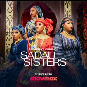 Read more about the article Sadau Sisters Season 1 (Episode 1-4 Added)