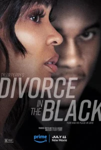 Read more about the article Tyler Perrys Divorce in the Black (2024)